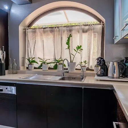 Sarabanda סנטה קרוז דה טנריף